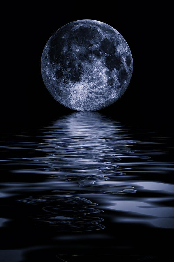月亮照片 - 大卫普林格的满月