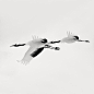 冬雪 | Olivier Robert