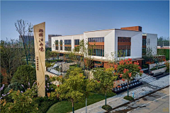 三只布朗熊采集到精神堡垒