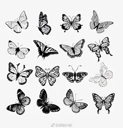 【黑白线描图例】蜻蜓与蝴蝶~
小清新插画 ​​​​