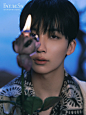 @SEVENTEEN_OFFICIAL 的个人主页 - 微博
