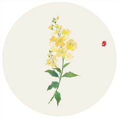 cococao采集到儿童美术