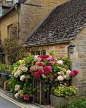 Little Cotswold village looks mighty peaceful and inviting#England#Cotswolds#gardentrips#ladiestraveling