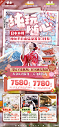 樱花纯玩