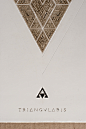 Triangle projects | Behance 上的照片、视频、徽标、插图和品牌