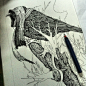 Mymutas - Experimental Arts, bird 01 work in progress #采集大赛#