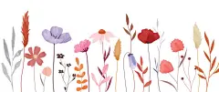 图源免费EPS文件 |白色背景上的秋季向量。手绘花卉花园壁纸，有水彩野花、树叶、树叶。秋季花卉图形设计用于横幅、封面、装饰、海报。