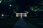 Photograph Oak Alley Plantation Night by Markus Hollecker on 500px