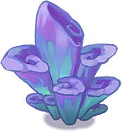 Zone9_Plant_19