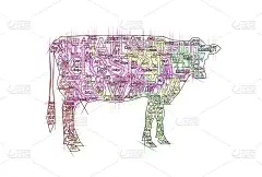 艺术牛用铅笔画的文字