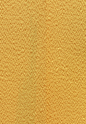 P103




P104