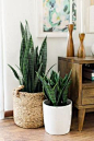 boho home decor