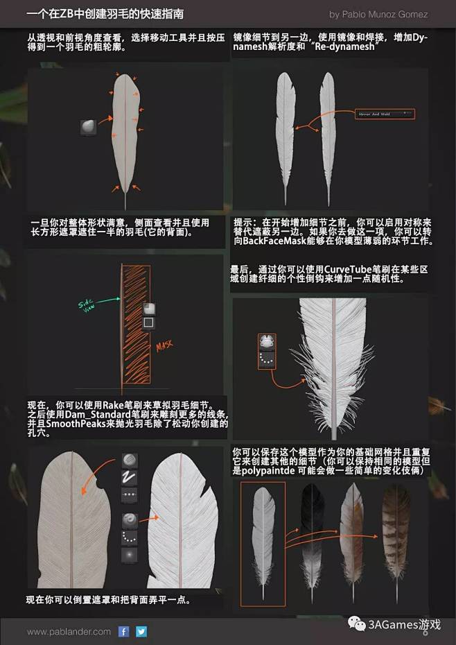 【技术分享】在zbrush中雕刻写实羽毛...