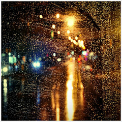 小象……采集到雨