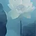 散落的 清香

                       漂入 清寂的 幽塘

                               随夜幕

                                   驶入

                                  神秘的 航道