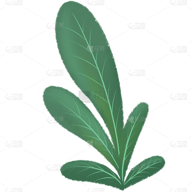手绘-植物元素贴纸2