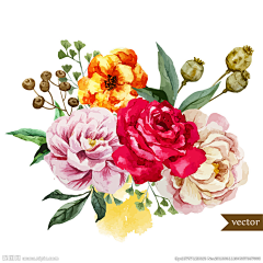 YU_WEN_XIA采集到花
