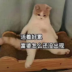 发一些穷人家的表情包-兴趣部落