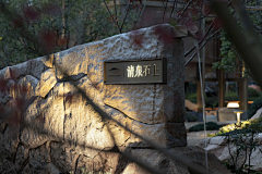 大米粥的周采集到ZS_一石则太华千寻