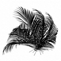 GSG_Gobos_Plants_Pal...