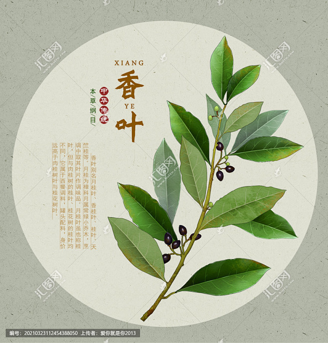 药材医草 手绘值物花草 手绘中草药 中草...