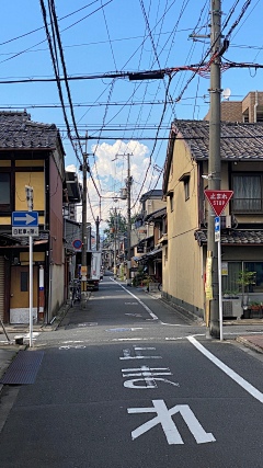 红豆相诗采集到车类