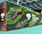 植物学大会立体绿化项目 - 垂直绿化 - 深圳市铁汉一方环境科技有限公司