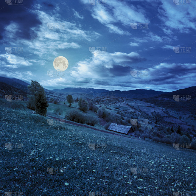 山,夜晚,草地,乡村,森林,无人,户外,充满的,田地,农业