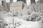 纽约市中央公园雪景。