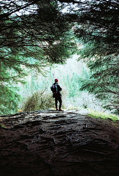 或许、期待过采集到一路风景