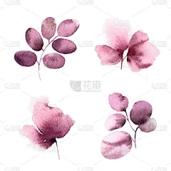 绘制鲜花集为贺卡装饰。粉红色的花和叶子。水彩花。花卉装饰。婚礼邀请花的设计元素。