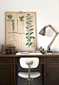 vintage desk and botanical print poster