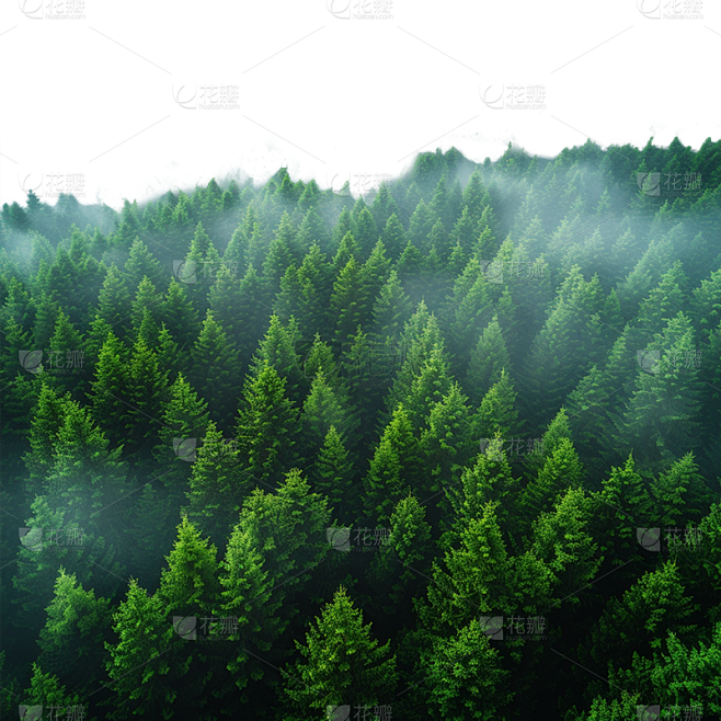 风光系列绿色合成云雾山林通用元素素材素材-花瓣网