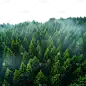 风光系列绿色合成云雾山林通用元素素材
