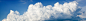 VCG41N1095409106