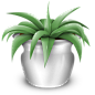 植物