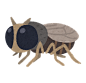bug_buyo昆虫 蚊子 蚂蚁 苍蝇 蚯蚓 蟑螂 卡通 插画 免扣 素材 手绘 png