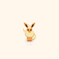 Pokemon Eevee Family
