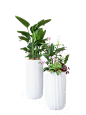 室内花盆组景1