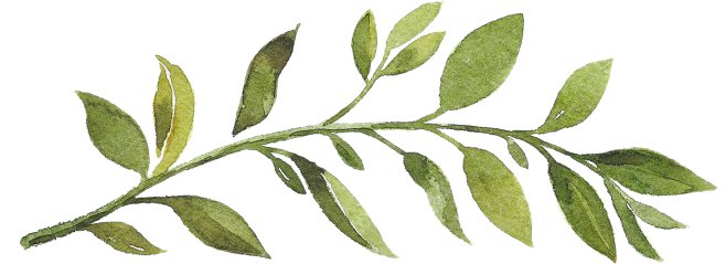 文艺手绘森系树枝树叶装饰花环英文字母免扣...