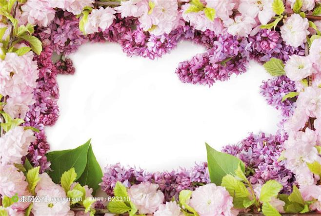 丁香花卡片背景高清图片