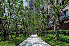 清咕吖采集到巷道