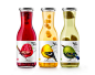 Beak Pick有意思的创意鸟水果插画艺术果酱产品包装设计案例参考分享设计