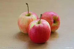 点击查看源网页