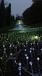 英国艺术家灯光装置艺术:星光原野