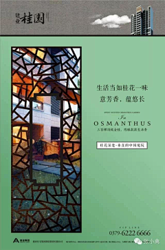 晓呆羊采集到素材-文案