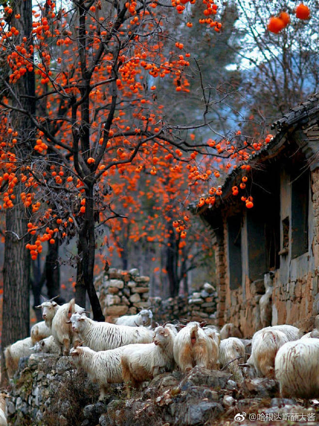 中国图库摄影人反盗图 @中国国家地...