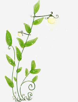 手绘漫画花藤植物