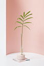 Cute And Simple DIY Oslo Bud Vases