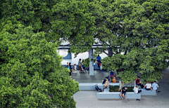 虚胖的二大爷采集到空间——城市改造